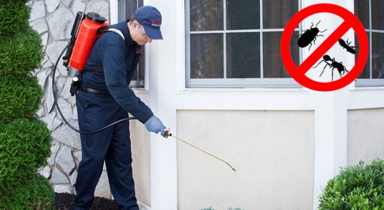Afşin Fare İlaçlama böcek ilaçlama ve haşere kontrolü — ilaclama-tr.com